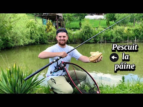 Pescuit la Crap in Balta din Grădină cu PÂINE❗️Pești Superbi la suprafața Lacului 🎣
