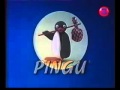 Pingu INTRO Reversed