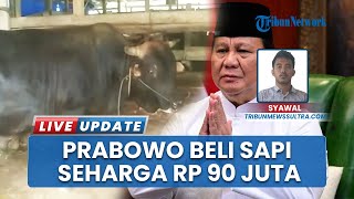 Peternak Asal Muna Barat Jual Sapi Rp90 Juta untuk Presiden Prabowo, Begini Kisahnya