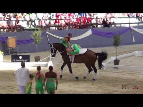 Team Austria (AUT), Junior European Championships 2018