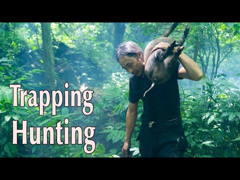 Survival In The Rainforest – Shelter, Hunting, and Setting Traps To Find Food To Survive.