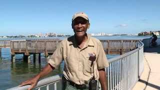Park and Preserve Maintenance Worker - I Am Pinellas County