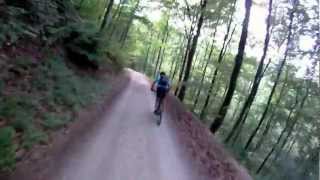 preview picture of video 'MTB Bad Urach Speed Abfahrt Fohlensteige       Горный  велосипед  Германия'