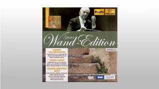 Beethoven  Piano Concerto #4 In G, Op  58 - 2  Andante Con Moto