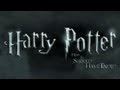 How Harry Potter Should Have Ended 