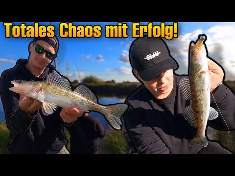 WELS BEIM ZANDERANGELN!? Erster ZANDER & direkt TRIPLE!