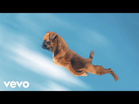 DJ Baby Duff & John Duff - 100% Baby (Official Music Video)