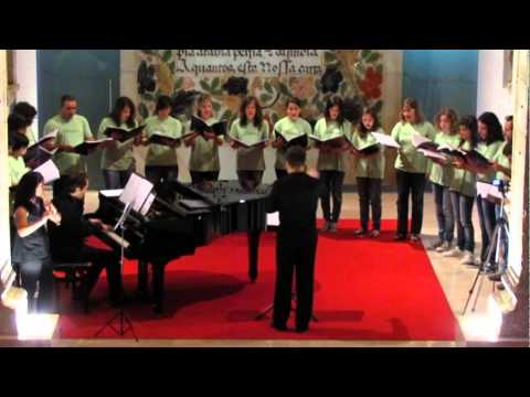 Nightingale - Coro Escola de Música Sons & Companhia