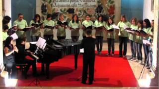 Nightingale - Coro Escola de Música Sons & Companhia