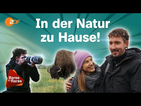 Hinter den Kulissen: Fabians große Leidenschaft führt ihn in die Wildnis | Bares für Rares