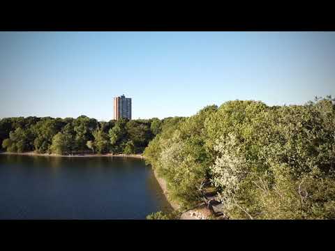 Jamaica Pond 30/08/2020