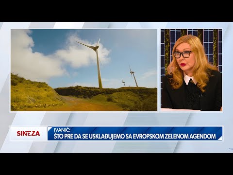 Sanja Ivanić: Francuzima je jako bitno da Srbija postane članica EU | SINTEZA