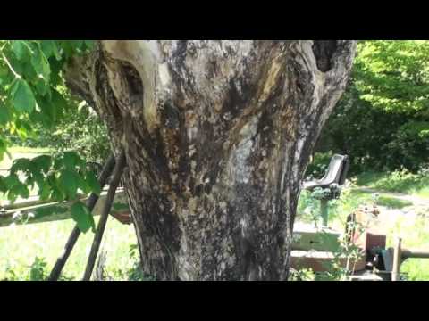 Ohmstede, eine Szene an der Strasse 2