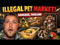 Inside Bangkok’s🇹🇭 Illegal Exotic Animal Market! DEFAULT Thumbnail