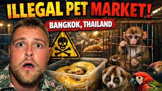 Inside Bangkok’s🇹🇭 Illegal Exotic Animal Market! MQDEFAULT Thumbnail