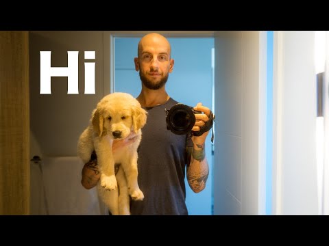 西蒙怎麼了？ (What Happened to Simon?)