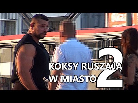 Koksy ruszająw miasto 2