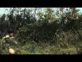 Grizzly Bear - Central and Remote