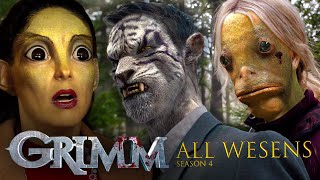EVERY Wesen From Season 4 | Grimm