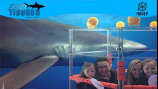 DIA 3 Expo Tiburon39