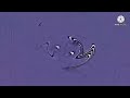 Klasky Csupo Upside Down Effects Tried To Be Normal