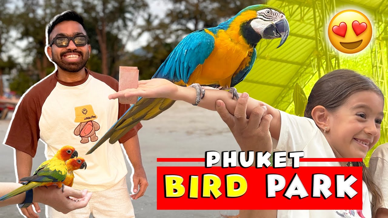 Experience an exciting journey with a traveler exploring the vibrant Phuket Bird Park in this captivating video.