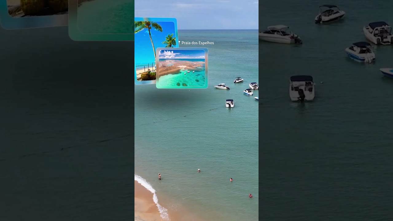 PORTFÓLIO 6 | Reels