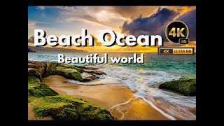 Beach Ocean of the World | 4K Video HDR  #adventure #travel #explore #nature #beach