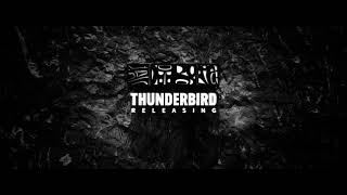 Download lagu Thunderbird Releasing / Memento  / Motlys (Thelma) mp3