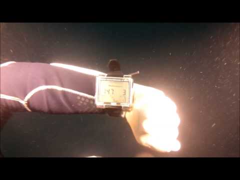 Delphinus Training Sessions