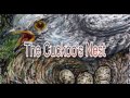 Cuckoo's Nest - An English Folk Rock version
