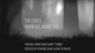 Jon Mapp Solo Bass Project - The Foxes Know All About You (LIMBO Music Video)