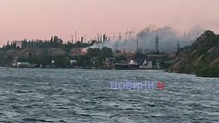 В Николаеве возник пожар на берегу лимана (видео)