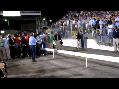 2009 TWH Celebration Stake Entrances