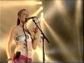 lamb-fly 