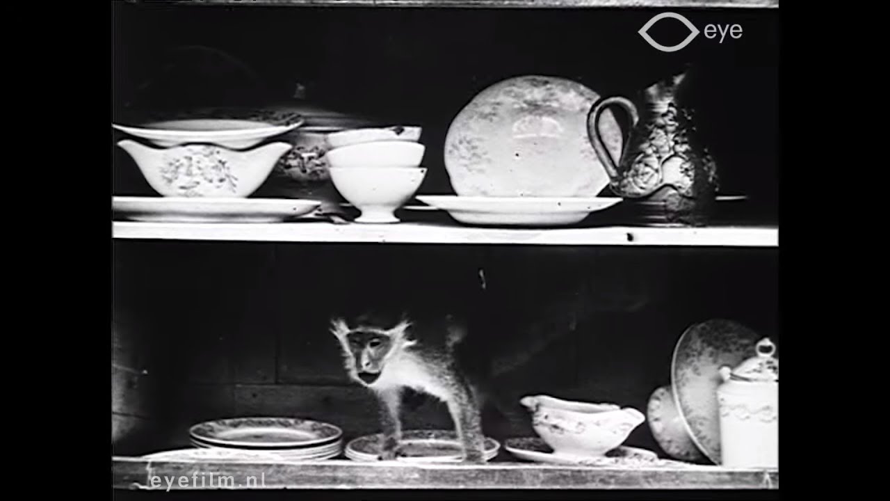 Le singe de Pétronille