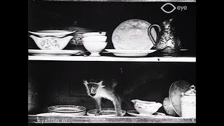 Le singe de Pétronille