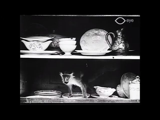 Le singe de Pétronille