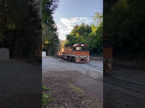 TRAINS AM22 Pacific National Freight Train 2AM5 NR30 NR31 in Great Southern Livery.  07/02/2022