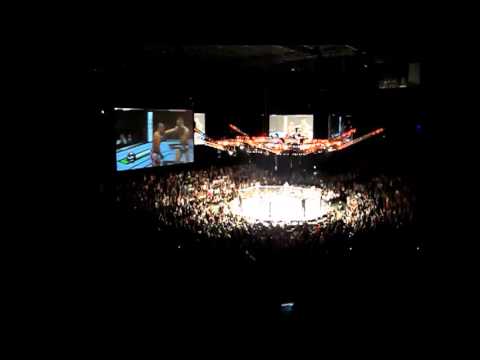 Conor McGregor KOs Diego Brandao Irish Crowd reaction UFC Fight Night Dublin