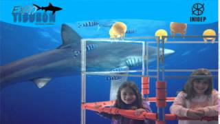 DIA 2 Expo Tiburon176