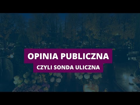 Opinia publiczna, czyli sonda uliczna [31.10.2022 r.]
