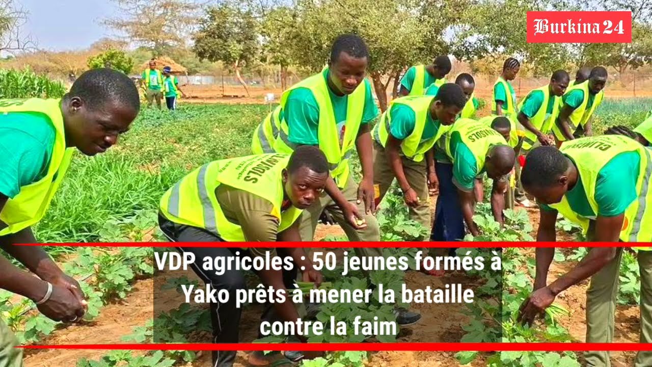 VDP agricoles : 50 jeunes formés à Yako prêts à mener la bataille contre la faim