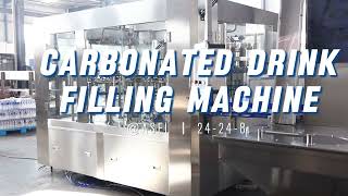 24 filling valves/capacity up to 120 bottles per minute/Beverage filling machine manufacturers
