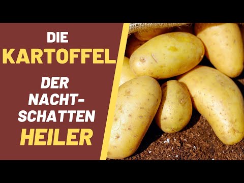 Die Kartoffel - Der Nachtschatten-Heiler