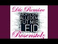 Nichts Von Alledem Tut Mir Leid Sono S Neon Radio Mix