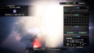 歴戦イヴェルカーナ 弓ペア 3'20''73