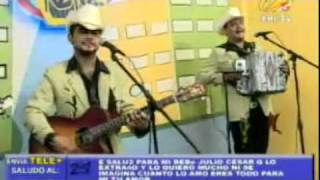 Entre Golpes y Besos Lyrics English Translation