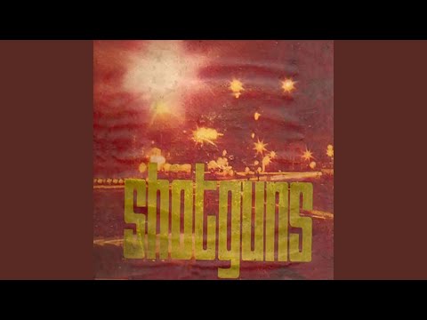 Tóc mai sợi vắn sợi dài Sheet - Thái Thanh