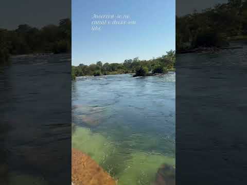 Rio Papagaio em Sapezal/MT #virualshort #naturezasurpreendente #rio
